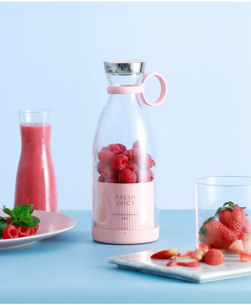 USB Mini Fruit Mixer Juicer